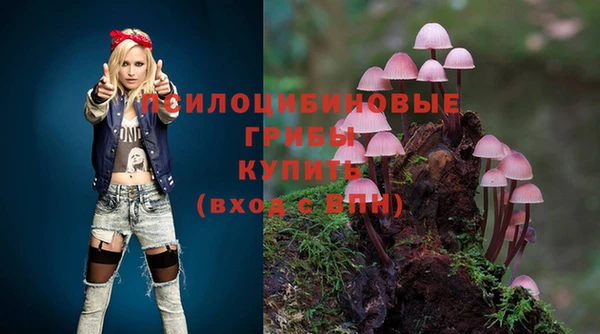 Альфа ПВП Елабуга